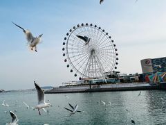 -琴岛之星摩天轮