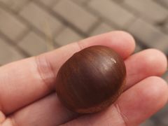 -金栗王(清扬路店)