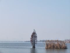 -东湖生态旅游风景区