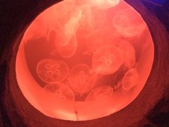 -常州海昌海洋探索馆