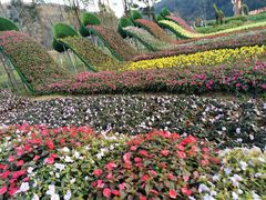 -广州市石门国家森林公园