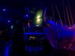 -音乐房子·Vintage Live Bar(玉林总店)