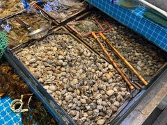 -崂山印象·青岛·海鲜渔家菜