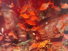 -泉城欧乐堡海洋极地世界