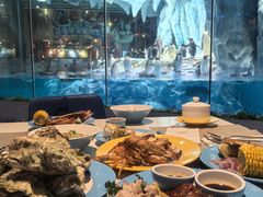 -帝企鹅自助餐厅•儿童岛•真企鹅(长隆企鹅酒店)