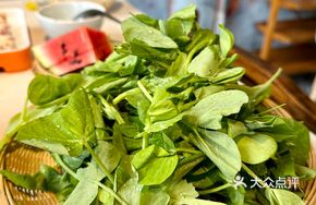 Fresh Pea Shoots with Vegetables