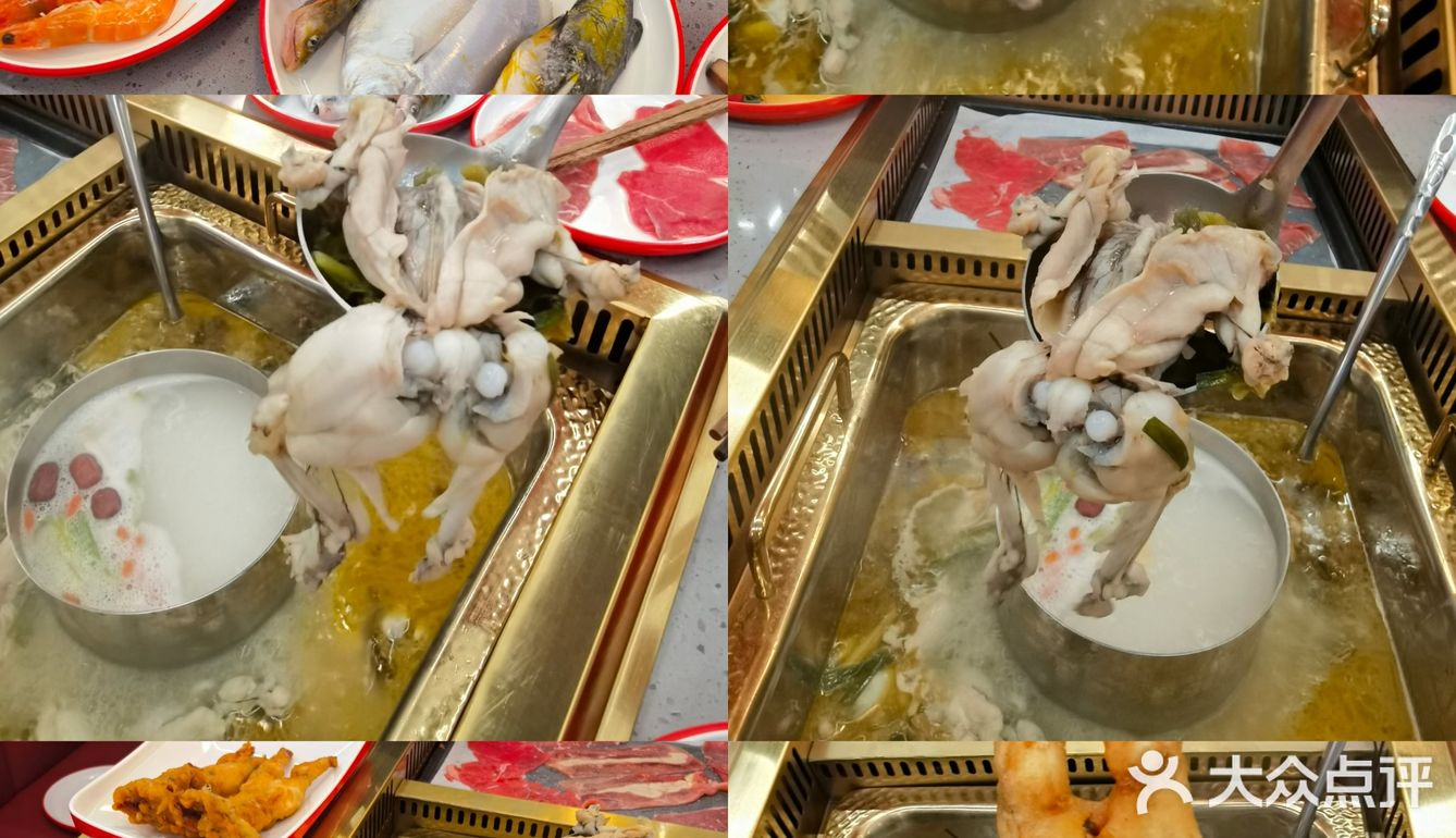 烈日炎炎下的牛蛙自由，宽尺巷鱼蛙自助