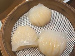 千日贺虾饺皇-千日贺茶餐厅(高新万达店)