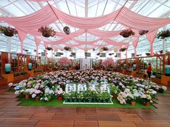 -盈香心动乐园