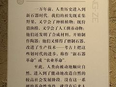 -上海崧泽遗址博物馆
