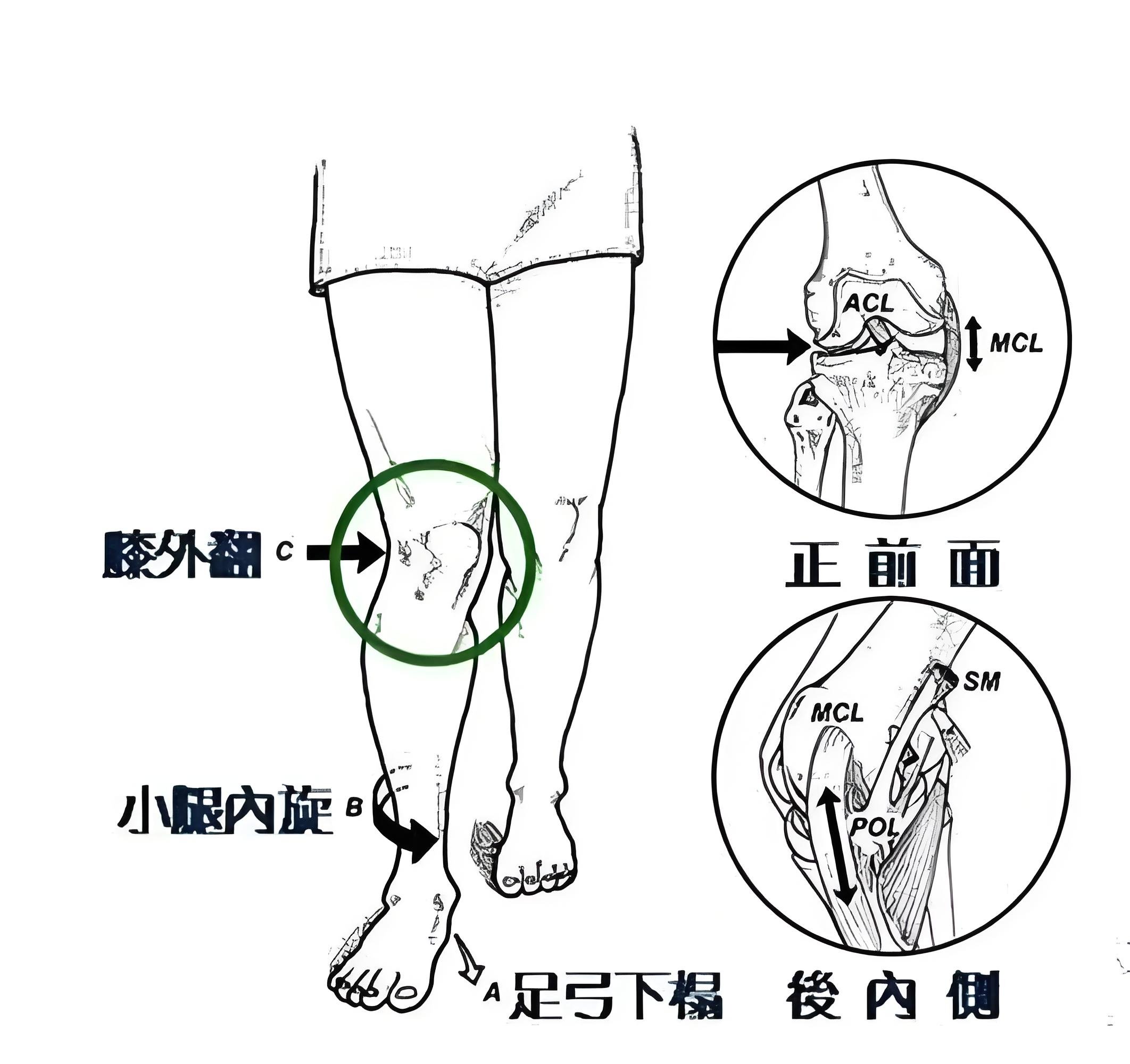 腿部外旋动作图片