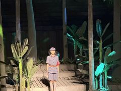 -三亚红色娘子军演艺公园景区
