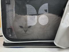 -美联众合爱康动物医院•复杂内科•肿瘤科•牙科•腔镜诊疗中心