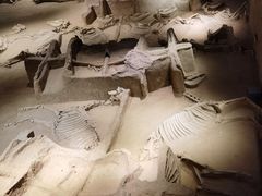 -洛阳周王城天子驾六博物馆