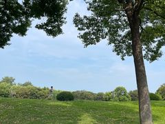 -东方绿舟景区