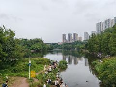 -重庆彩云湖湿地公园