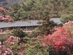 -木兰云雾山