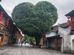 -猫的天空之城概念书店(三坊七巷店)