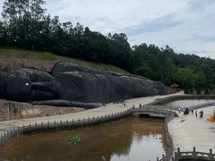 -三水森林公园
