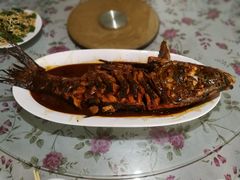 炖鱼-金台阶鱼馆(于桥水库店)