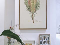 -植物学家的女儿(北马道巷店)