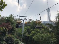 -富斯特索道