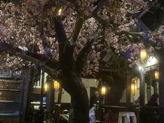 -绿茶餐厅(朝阳大悦城店)