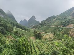 -大面山