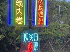 -苏州太湖国家湿地公园
