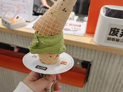 -野人先生现做冰淇淋(西安赛格店)