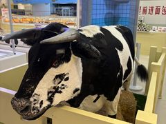 -红星前进面包牛奶公司(君太店)