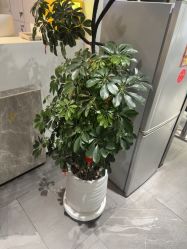 -LJOY丽锦造型·烫发染发