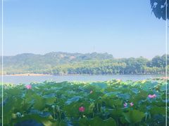 -湖畔居茶楼(湖滨店)