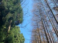 -山王坪喀斯特国家生态公园