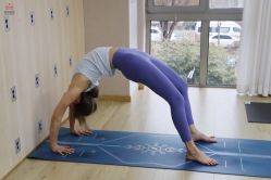 -酉嘉瑜伽YO+YOGA