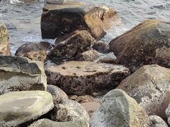 -三亚蜈支洲岛旅游区