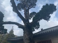 -青岛崂山太清宫