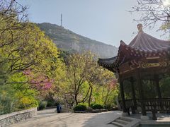 -佛慧山