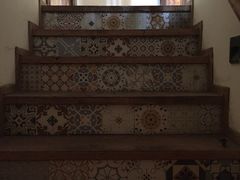 -两棵枇杷树