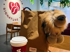 -COSTA COFFEE(新奥购物中心店)