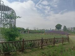 -祥源·阜阳生态乐园