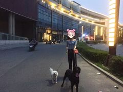 -金乐活美食(中街店)