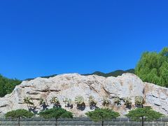 -北京西山国家森林公园