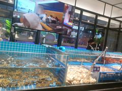 -锅儿欢海鲜火锅烤肉自助餐(东港凯虹店)
