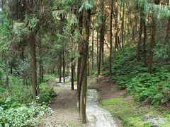 -梦姑塘文化公园