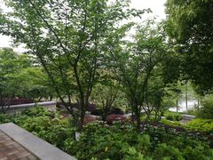 -映月湖中央公园