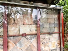 -南越王博物院(王宫展区)