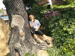 -三圣花乡旅游区