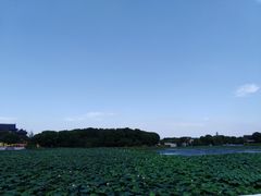 -阳澄湖半岛旅游度假区