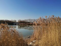 -大兴滨河森林公园